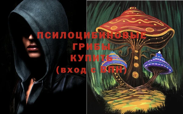 Альфа ПВП Алексин